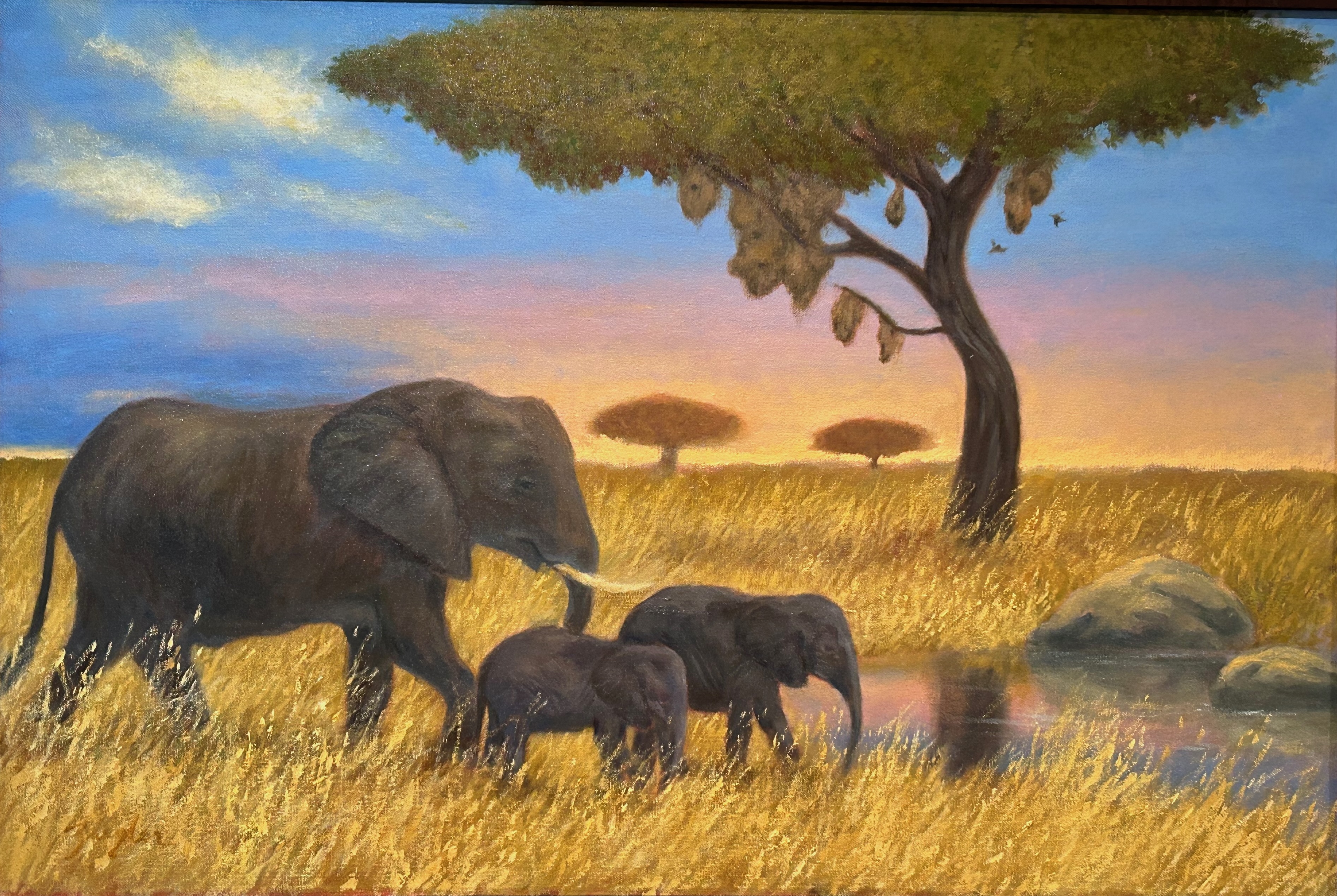 On Safari by Nancy Ziegler